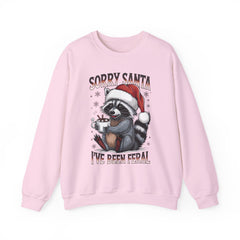Sorry Santa I've Been Feral Raccoon Sweatshirt