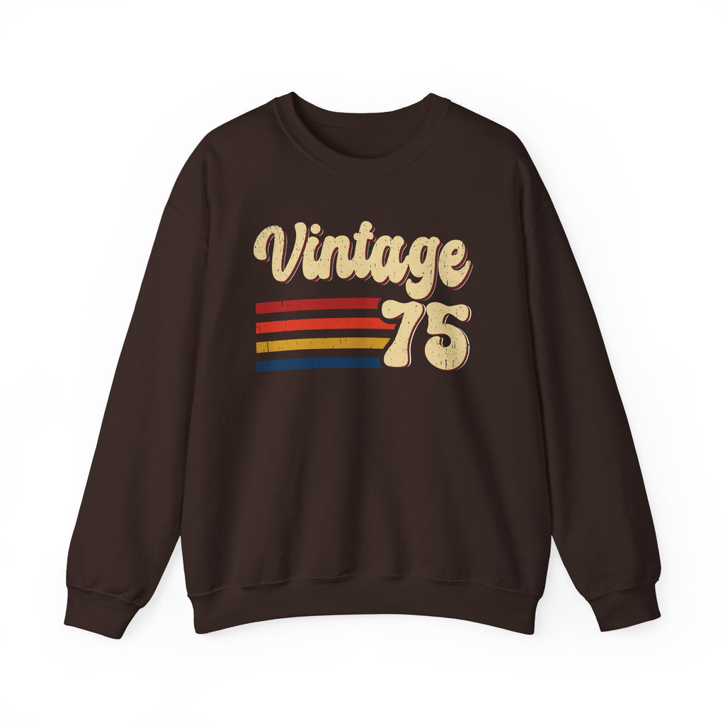 Dark Chocolate Vintage 75 retro stripes sweatshirt, front view