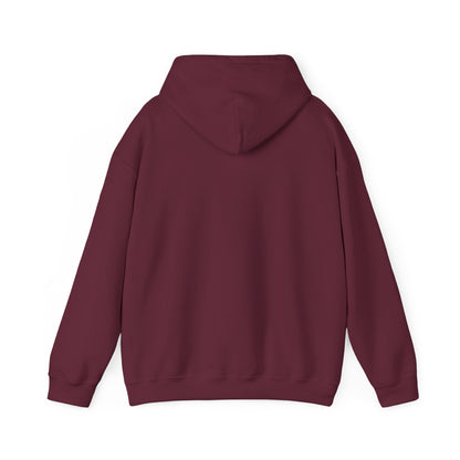 Our Little Pumpkin Is On The Way Hoodie