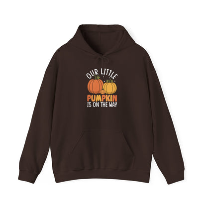 Our Little Pumpkin Is On The Way Hoodie