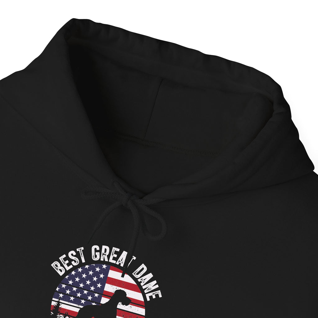 Best Great Dane Dad Ever retro flag hoodie, hood and print detail