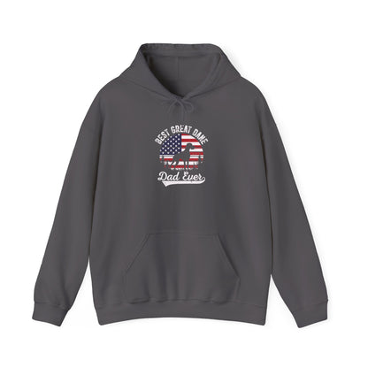 Charcoal Best Great Dane Dad Ever hoodie with retro flag sunset and dog silhouette