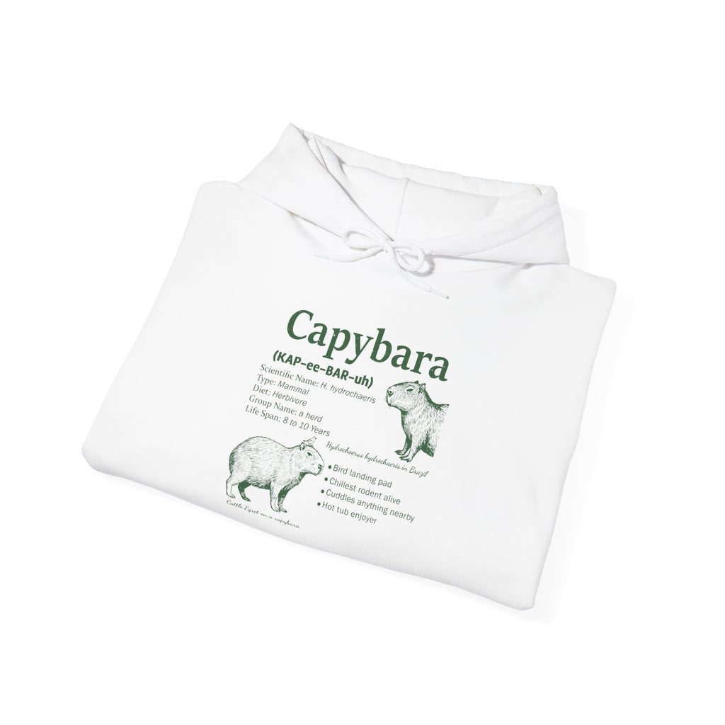 Capybara Definition Funny Hoodie, folded