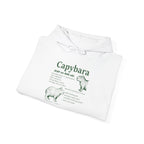 Capybara Definition Funny Hoodie, folded