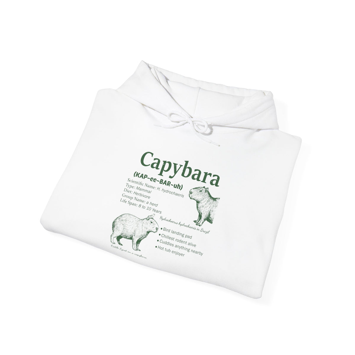 Capybara Definition Funny Hoodie, folded