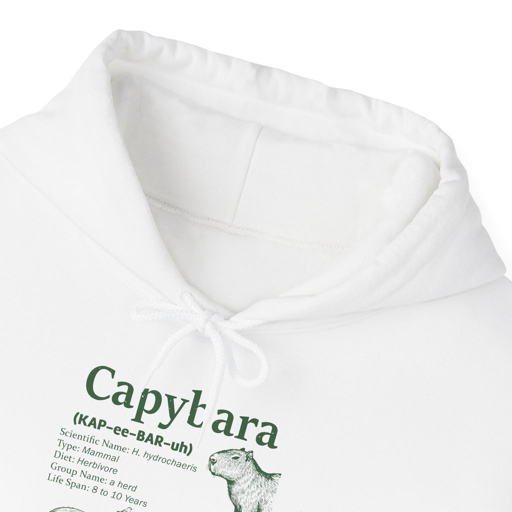Capybara Definition Funny Hoodie, front collar close-up