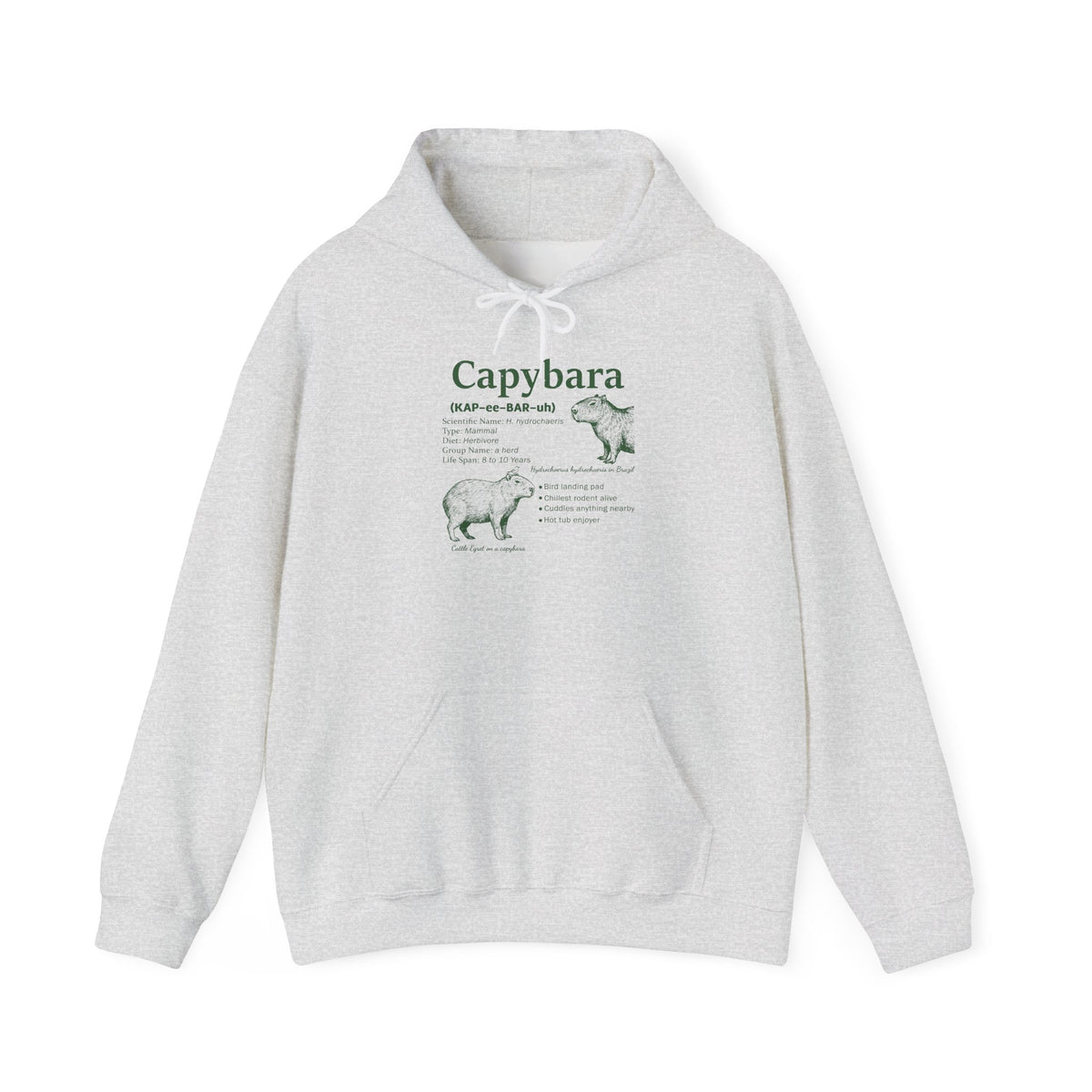 Ash Capybara Definition hoodie with a green vintage field-guide capybara print, front view