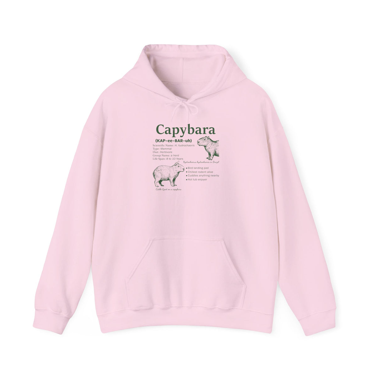 Light Pink Capybara Definition hoodie with a green vintage field-guide capybara print, front view