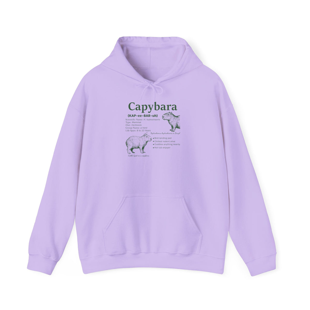 Orchid Capybara Definition hoodie with a green vintage field-guide capybara print, front view