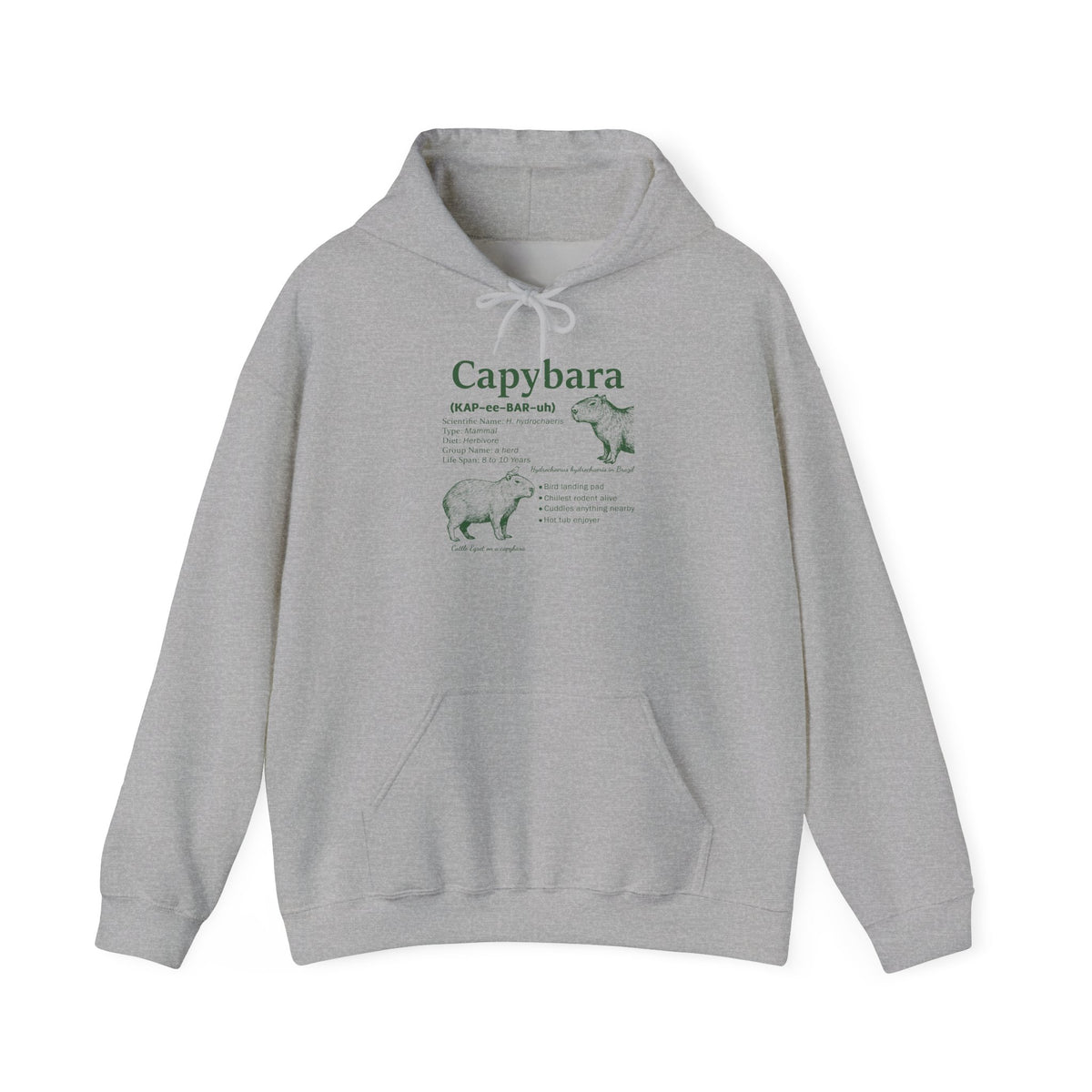 Sport Grey Capybara Definition hoodie with a green vintage field-guide capybara print, front view