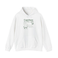 Capybara Definition Funny Hoodie