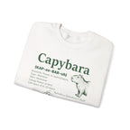 Capybara Definition Funny Sweatshirt, folded