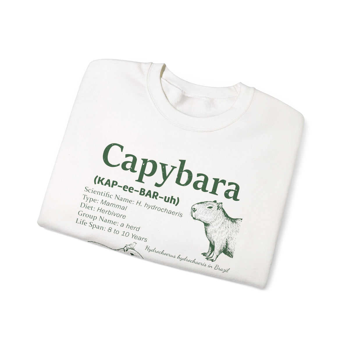 Capybara Definition Funny Sweatshirt, folded