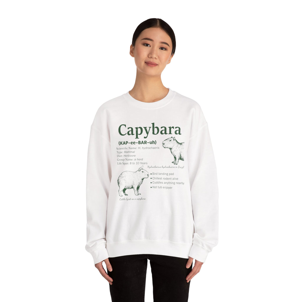 Woman wearing the White Capybara Definition Funny Sweatshirt