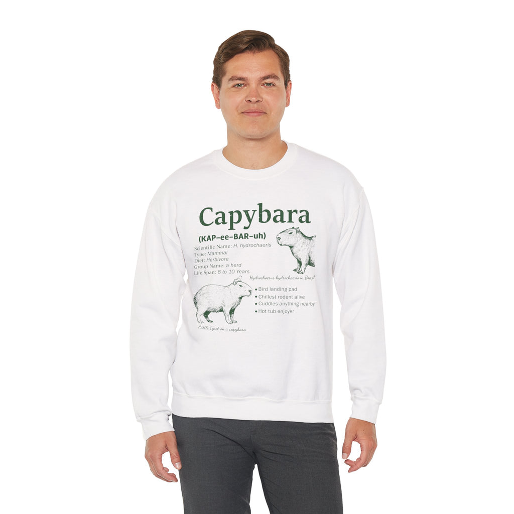 Man wearing the White Capybara Definition Funny Sweatshirt