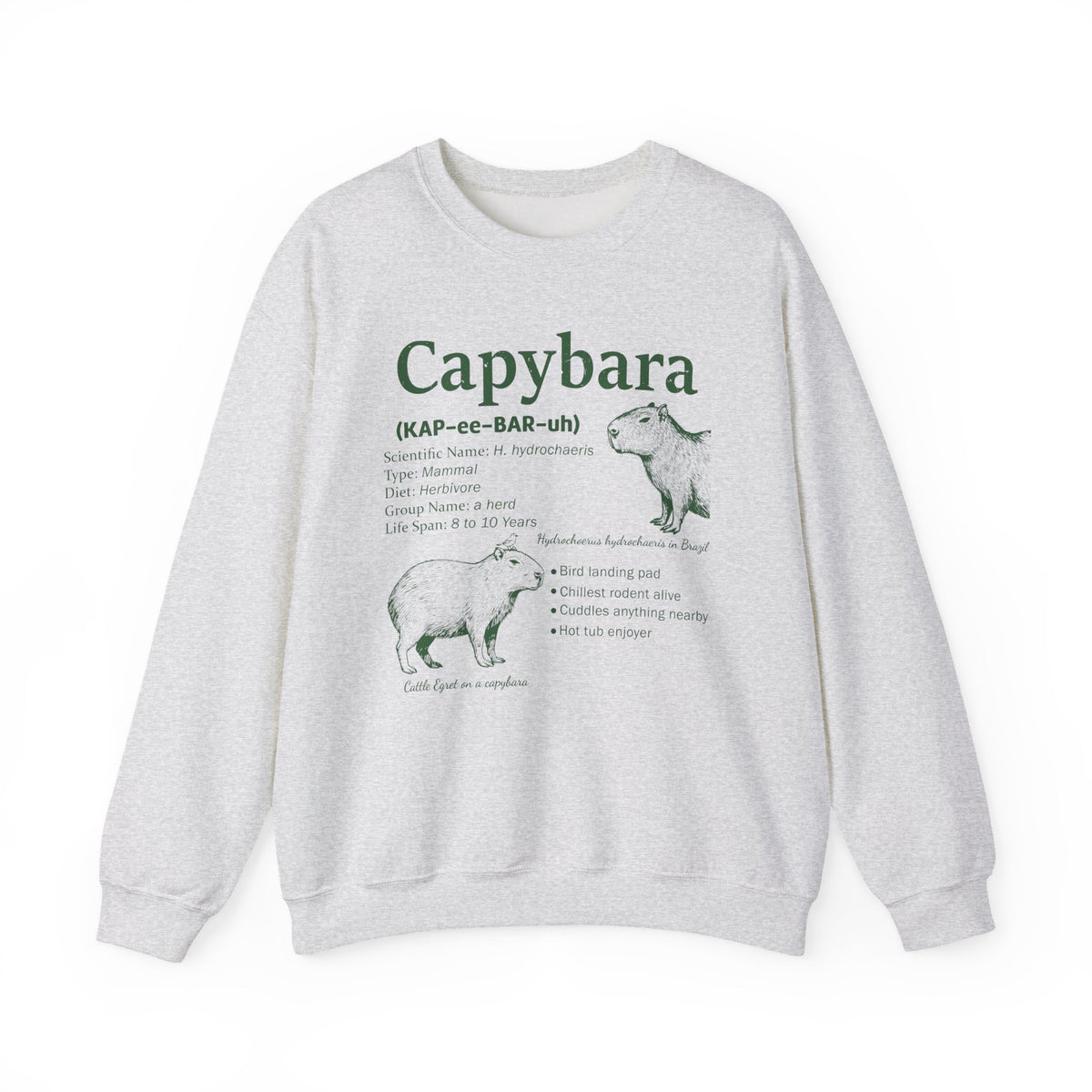 Ash Capybara Definition sweatshirt with a green vintage field-guide capybara print, front view
