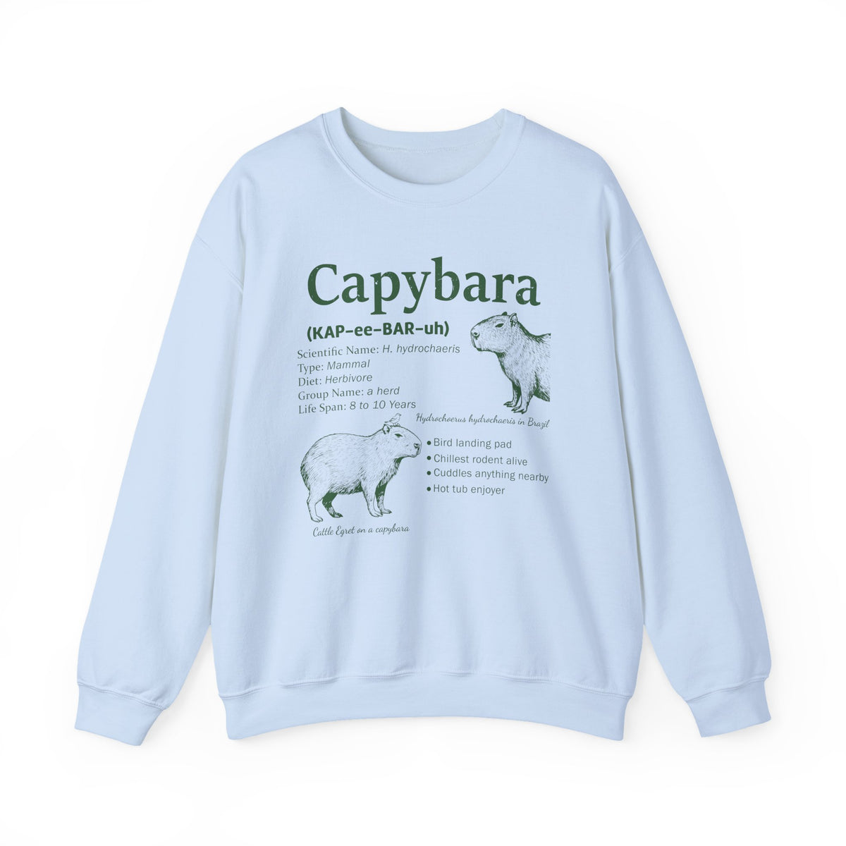 Light Blue Capybara Definition sweatshirt with a green vintage field-guide capybara print, front view