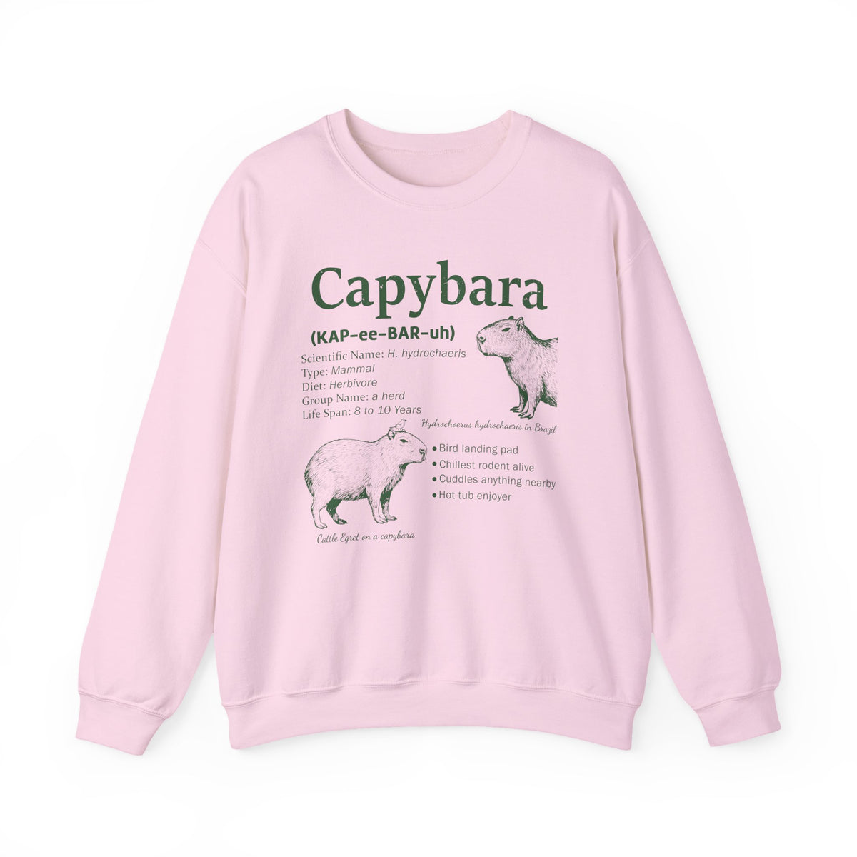 Light Pink Capybara Definition sweatshirt with a green vintage field-guide capybara print, front view