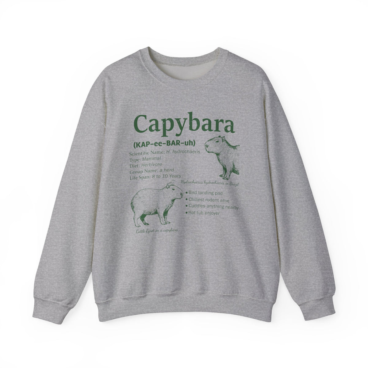 Sport Grey Capybara Definition sweatshirt with a green vintage field-guide capybara print, front view