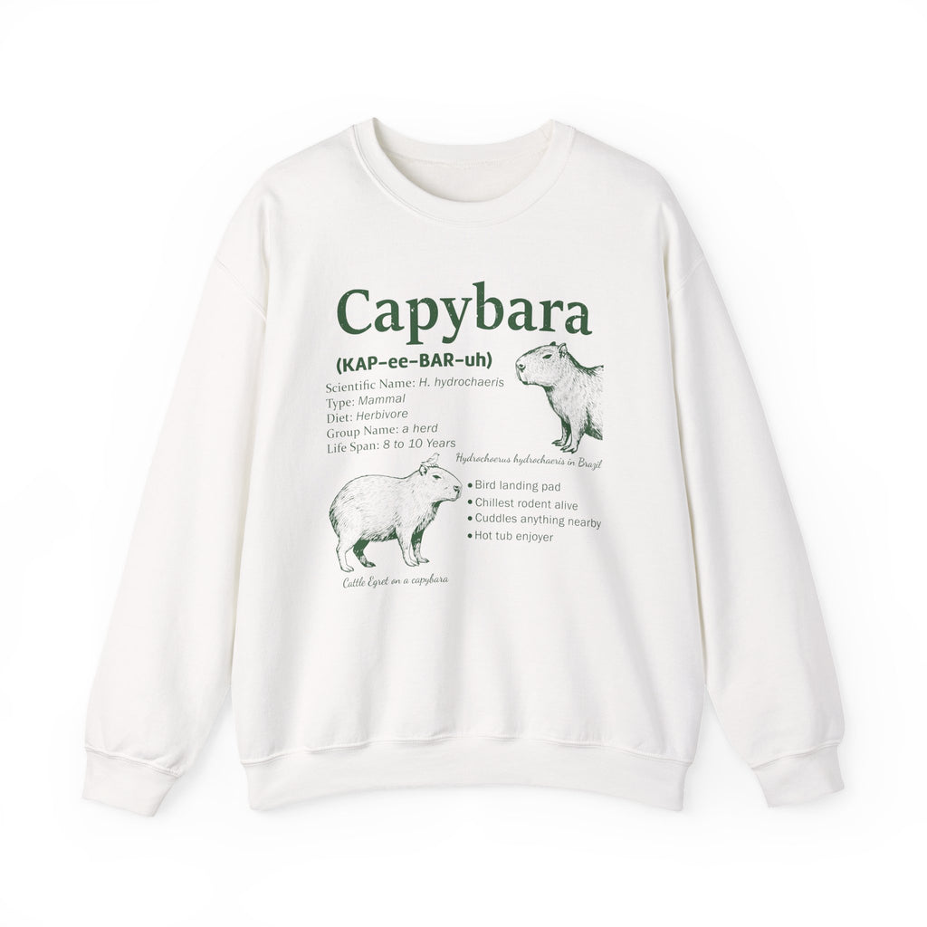 White Capybara Definition sweatshirt with a green vintage field-guide capybara print, front view