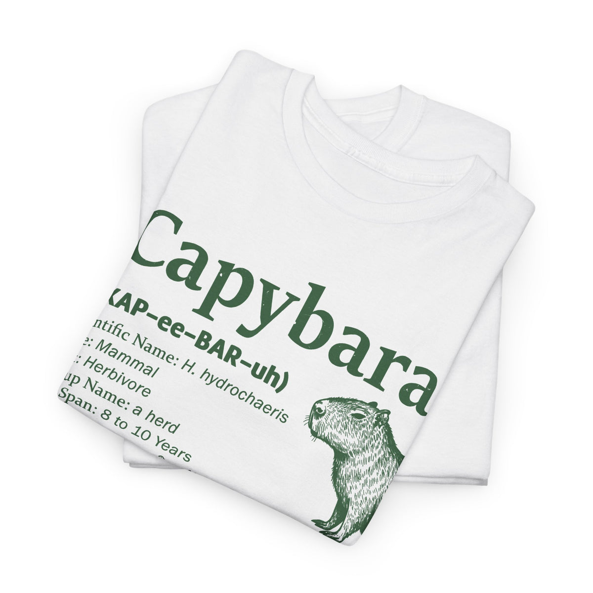 Capybara Definition Funny T-Shirt, folded