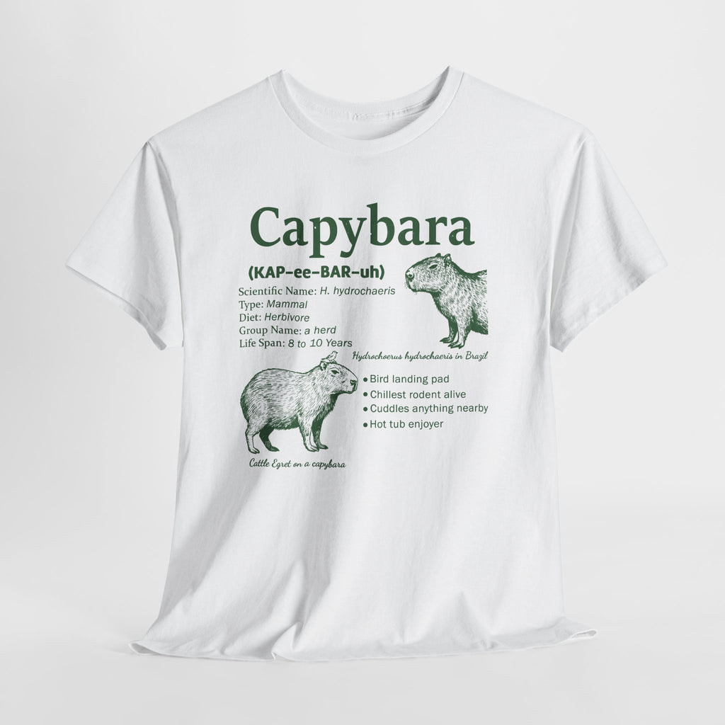 Capybara Definition Funny T-Shirt, flat lay