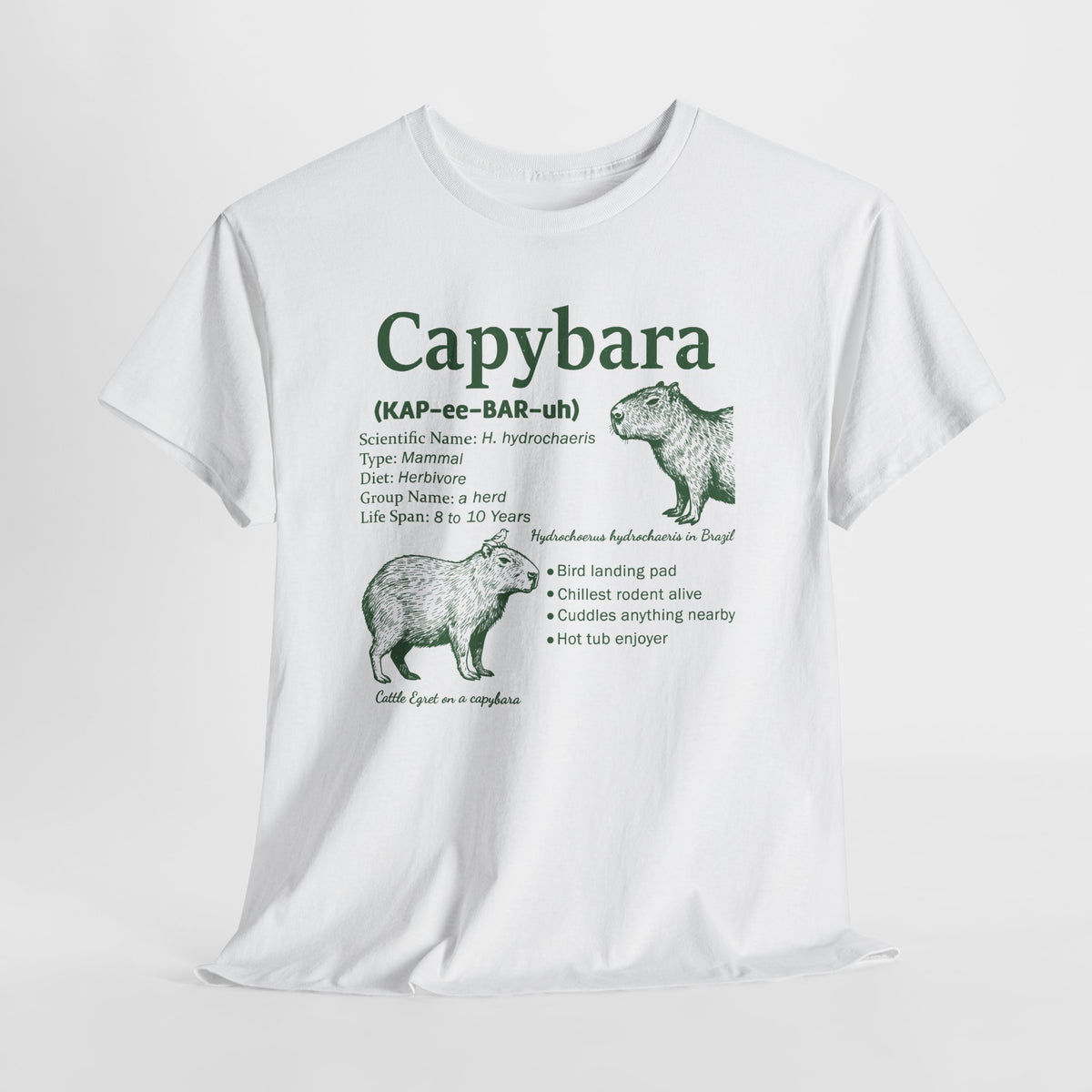 Capybara Definition Funny T-Shirt, flat lay