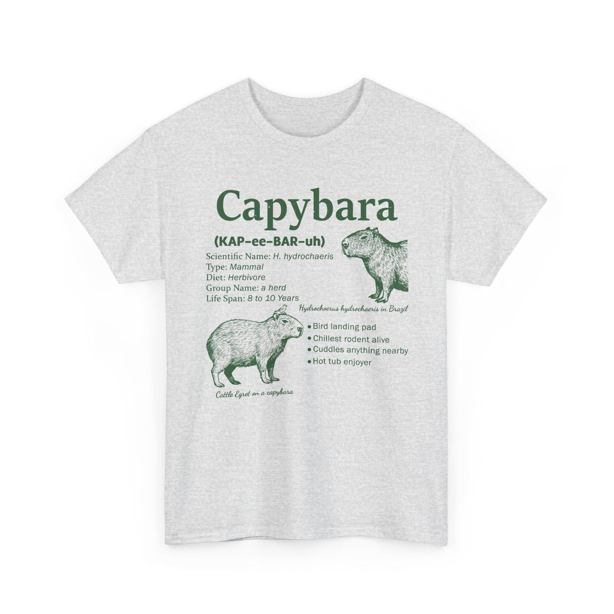 Ash Capybara Definition t-shirt with a green vintage field-guide capybara print, front view