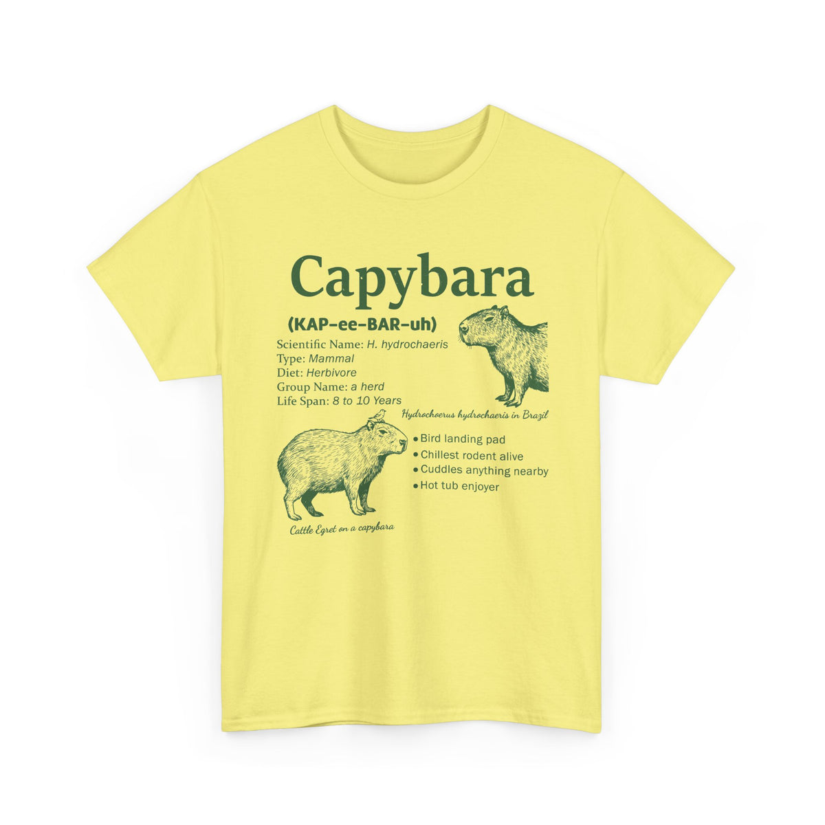 Cornsilk Capybara Definition t-shirt with a green vintage field-guide capybara print, front view