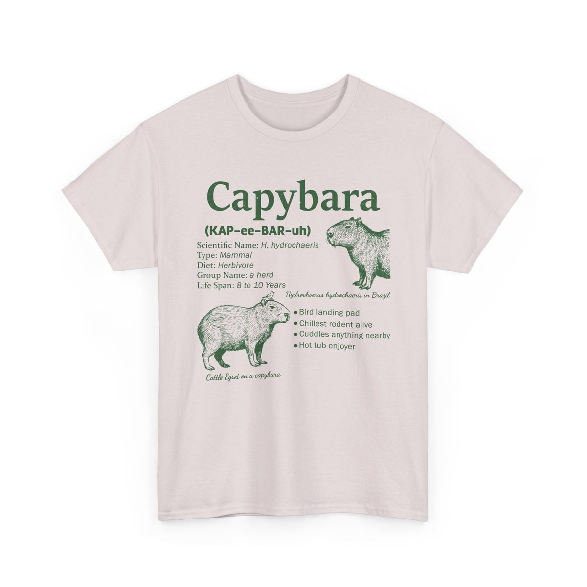 Ice Grey Capybara Definition t-shirt with a green vintage field-guide capybara print, front view