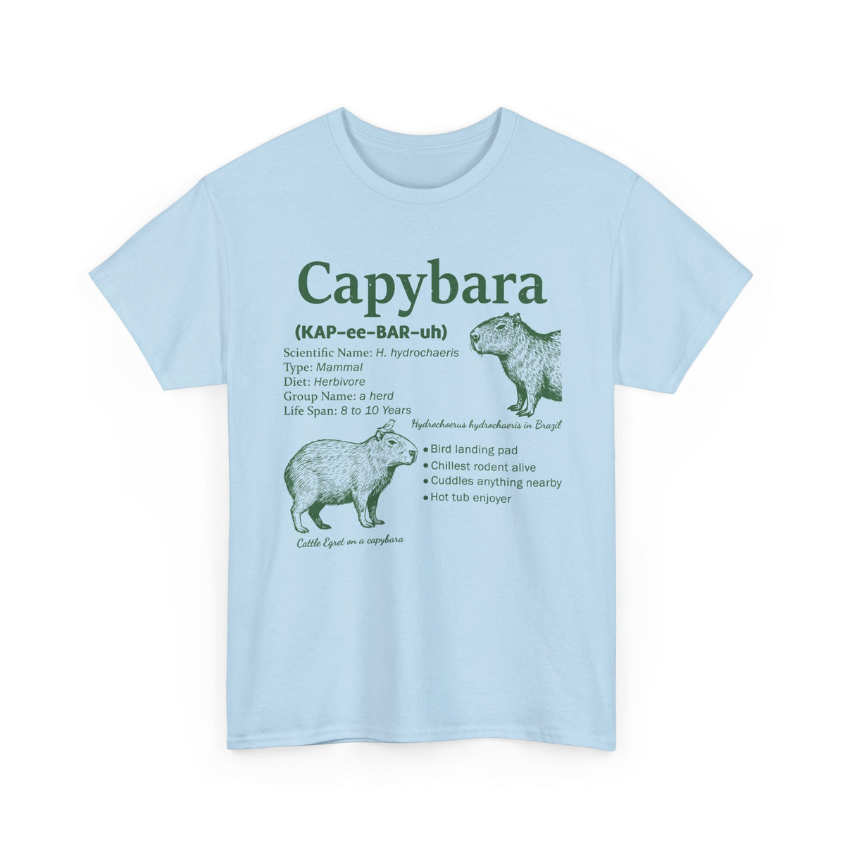 Light Blue Capybara Definition t-shirt with a green vintage field-guide capybara print, front view