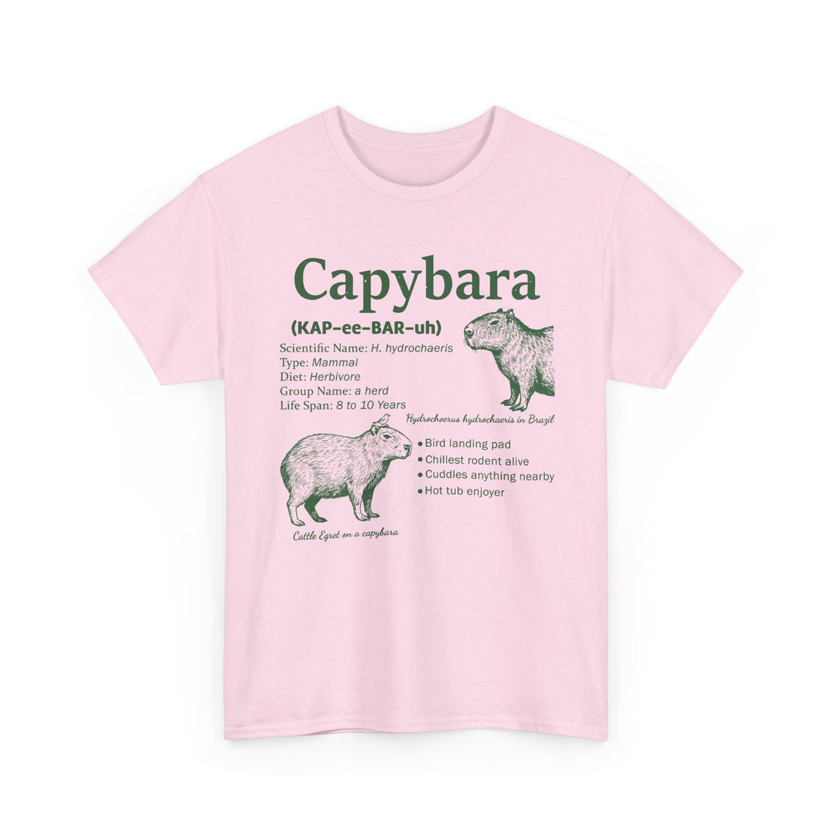 Light Pink Capybara Definition t-shirt with a green vintage field-guide capybara print, front view