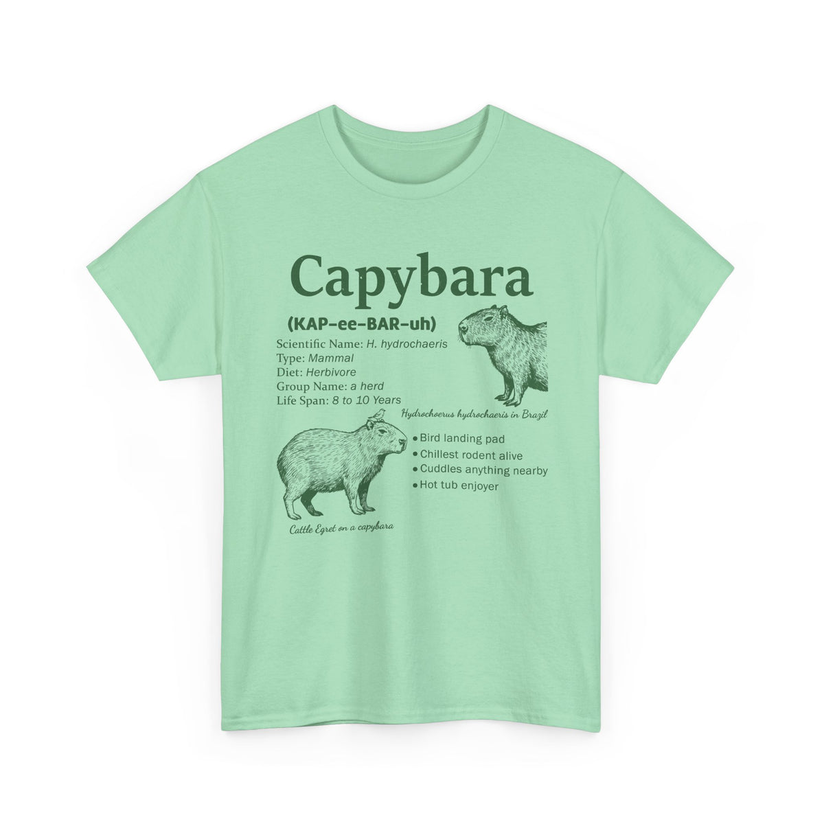 Mint Green Capybara Definition t-shirt with a green vintage field-guide capybara print, front view