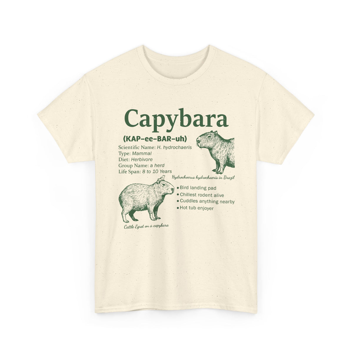 Natural Capybara Definition t-shirt with a green vintage field-guide capybara print, front view