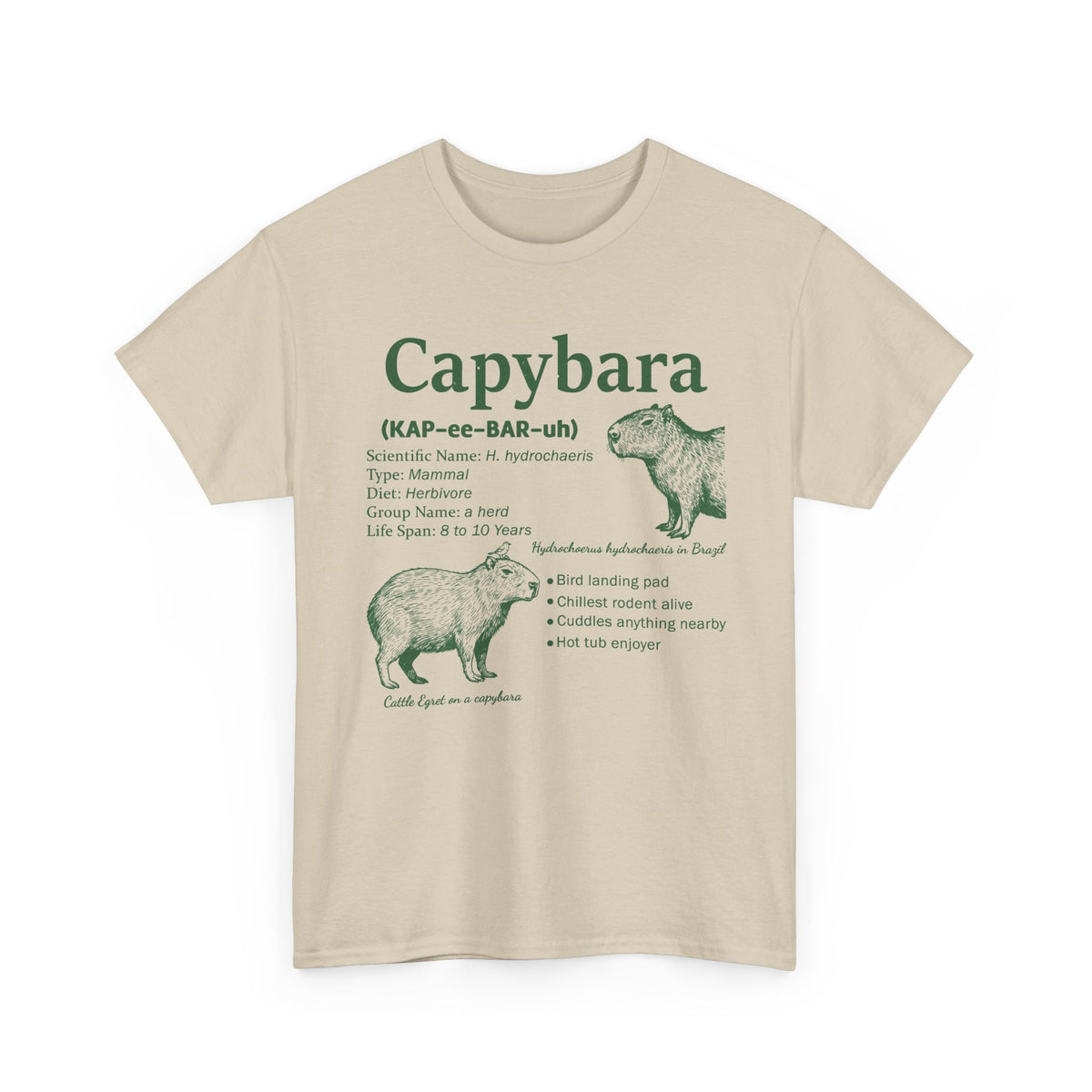 Sand Capybara Definition t-shirt with a green vintage field-guide capybara print, front view