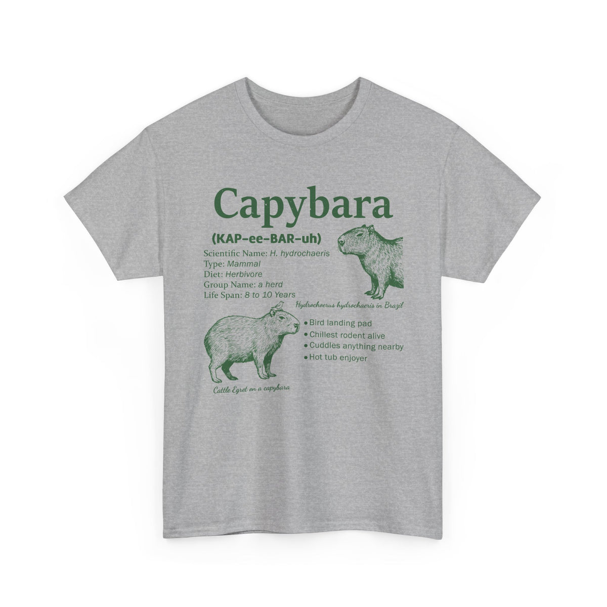 Sport Grey Capybara Definition t-shirt with a green vintage field-guide capybara print, front view