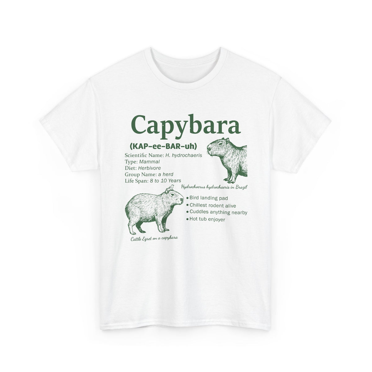 White Capybara Definition t-shirt with a green vintage field-guide capybara print, front view