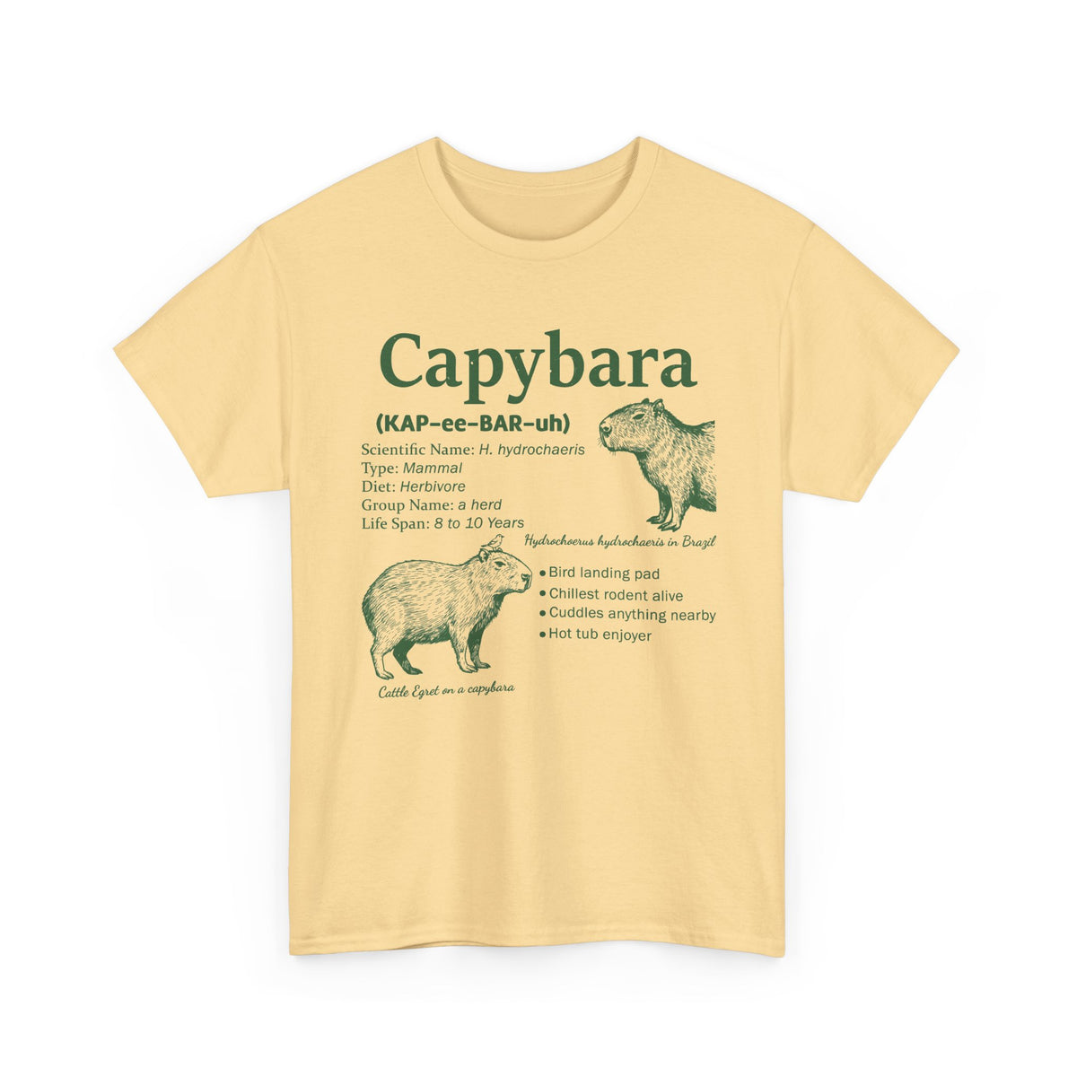 Yellow Haze Capybara Definition t-shirt with a green vintage field-guide capybara print, front view