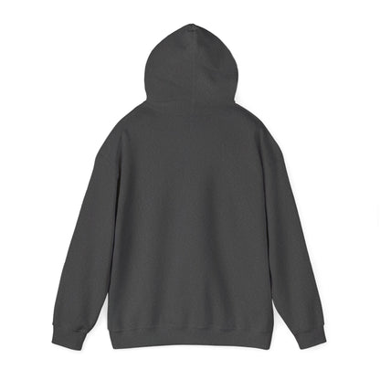 Love our veteran hoodie, additional product photo