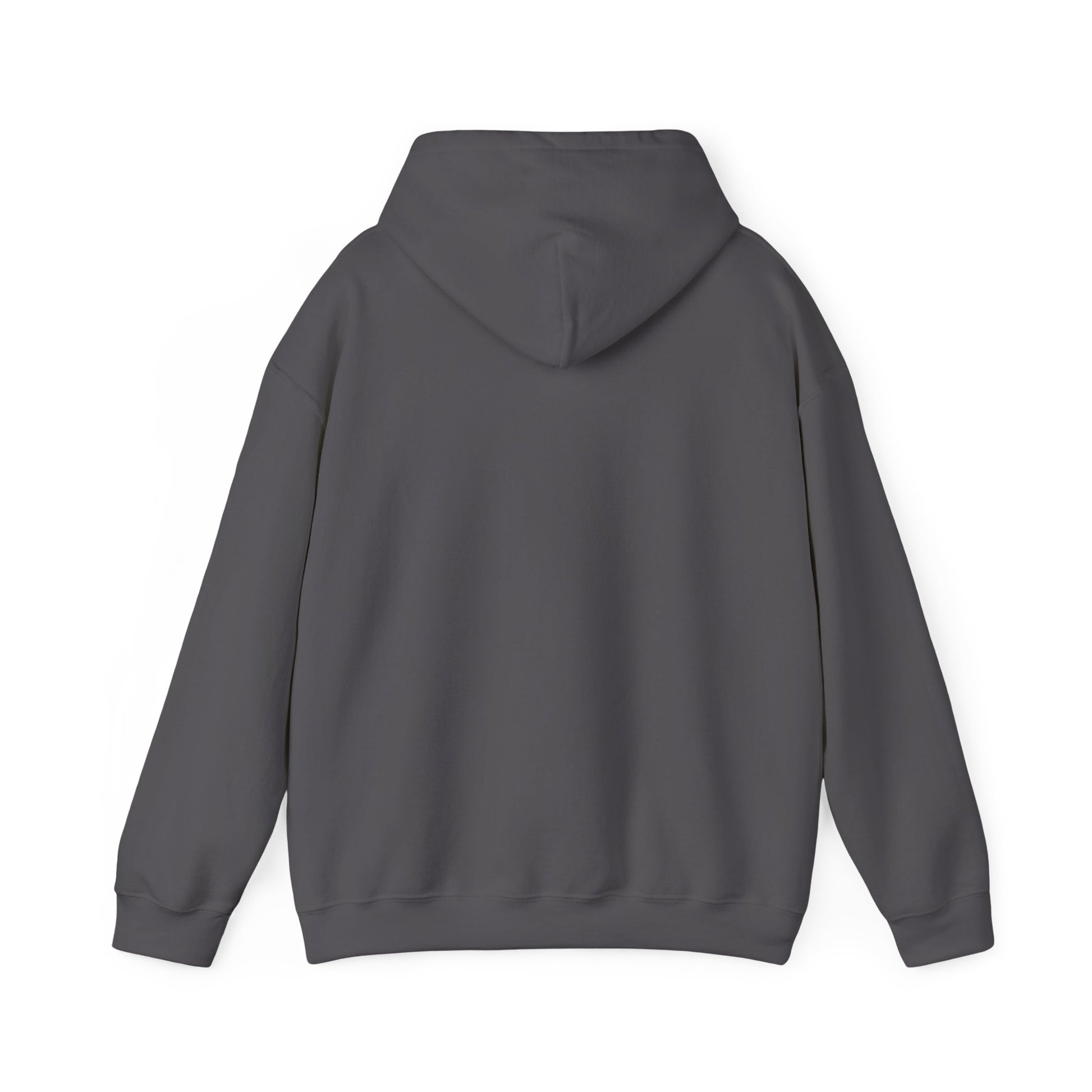 Proud Female Veteran My Oath Never Ends hoodie, additional product photo