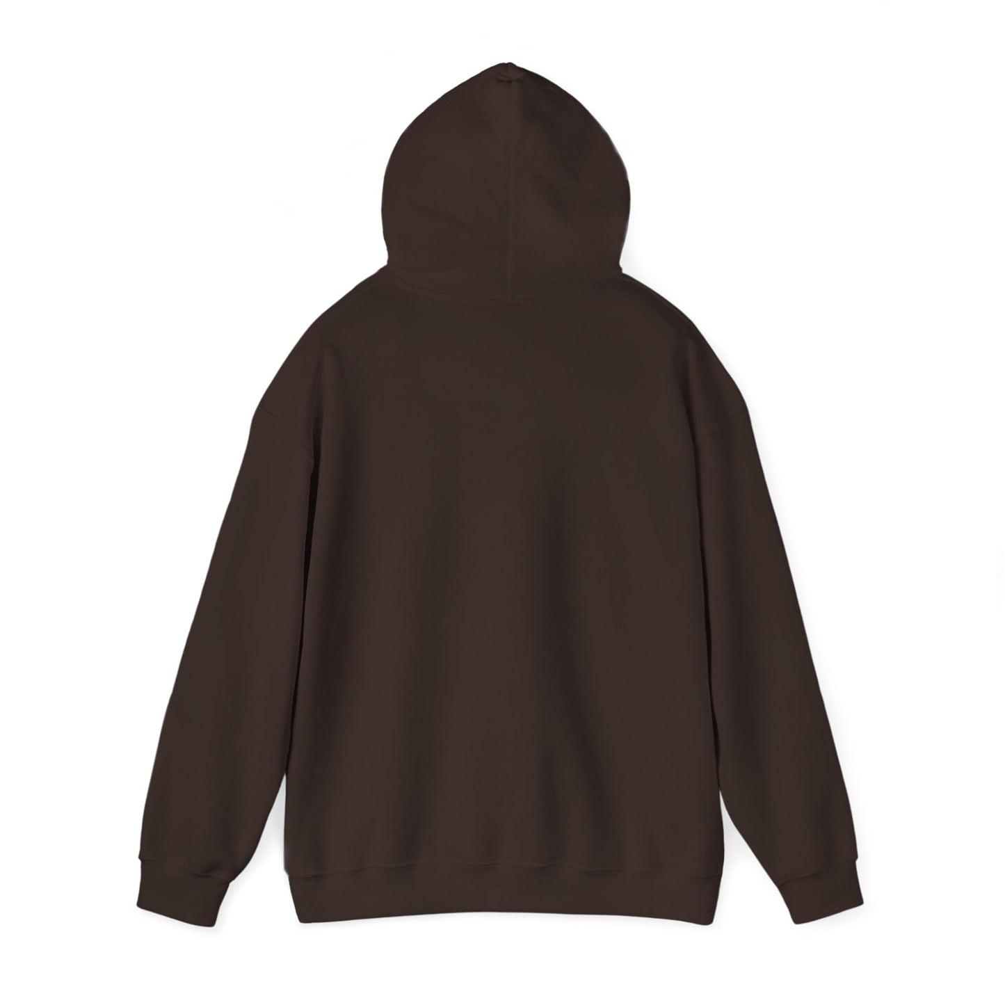 Vintage 75 retro stripes hoodie, back view with hood