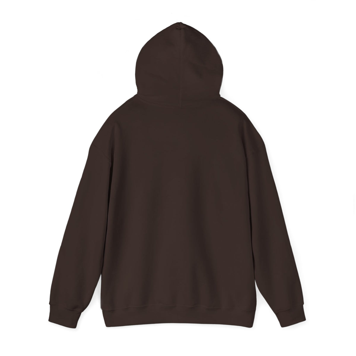 Vintage 75 retro stripes hoodie, back view with hood