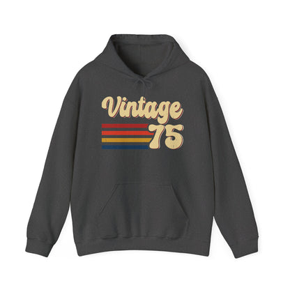 Dark Heather Vintage 75 retro stripes hoodie, front view