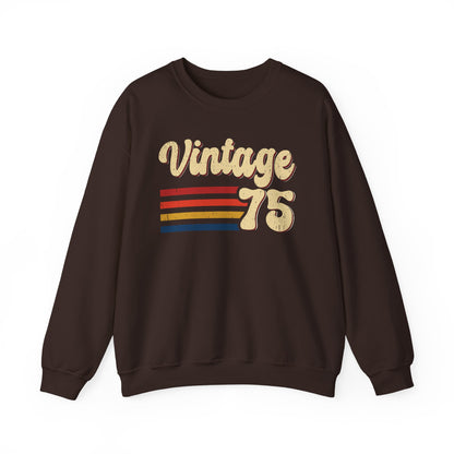 Dark Chocolate Vintage 75 retro stripes sweatshirt, front view