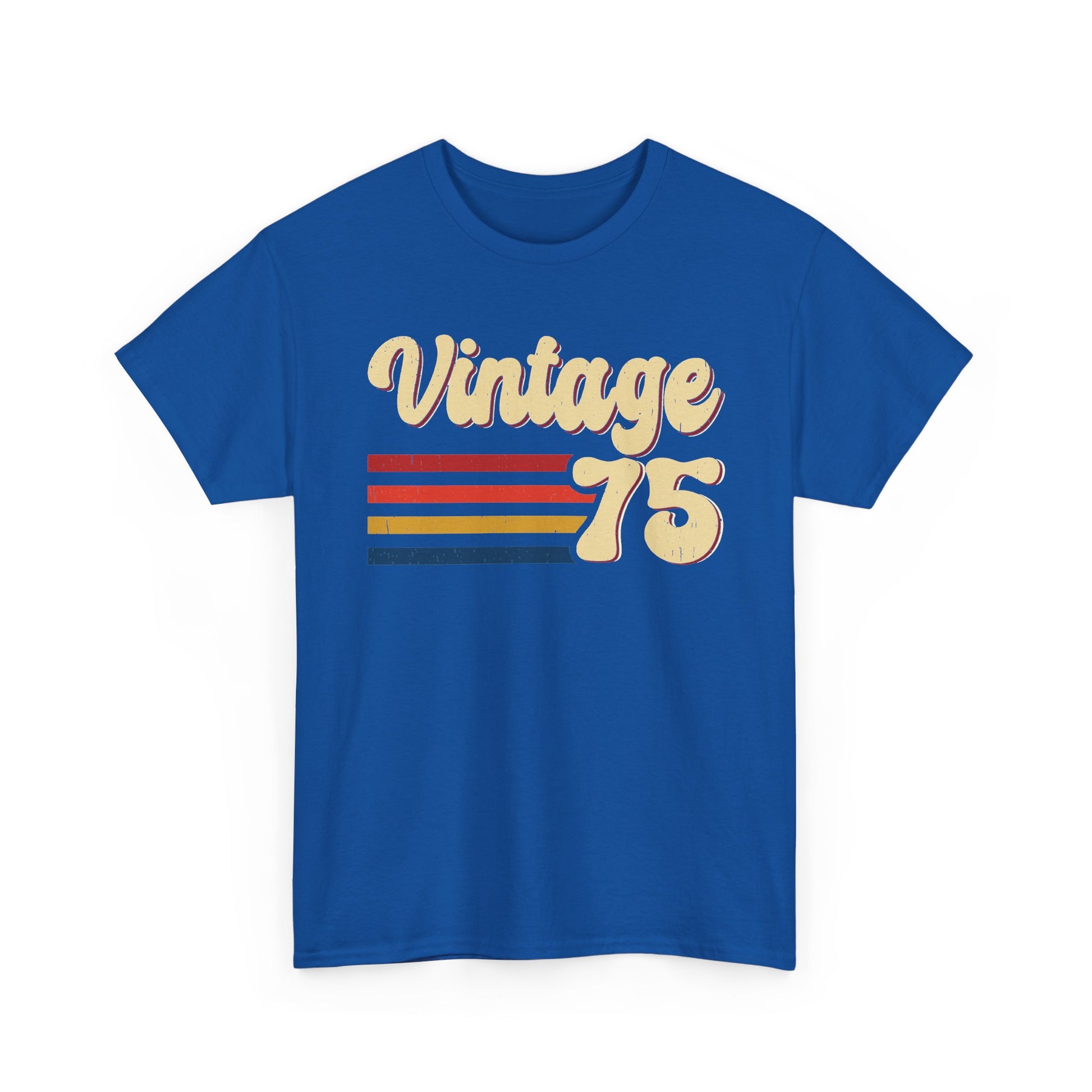 Royal Vintage 75 retro stripes t-shirt, front view