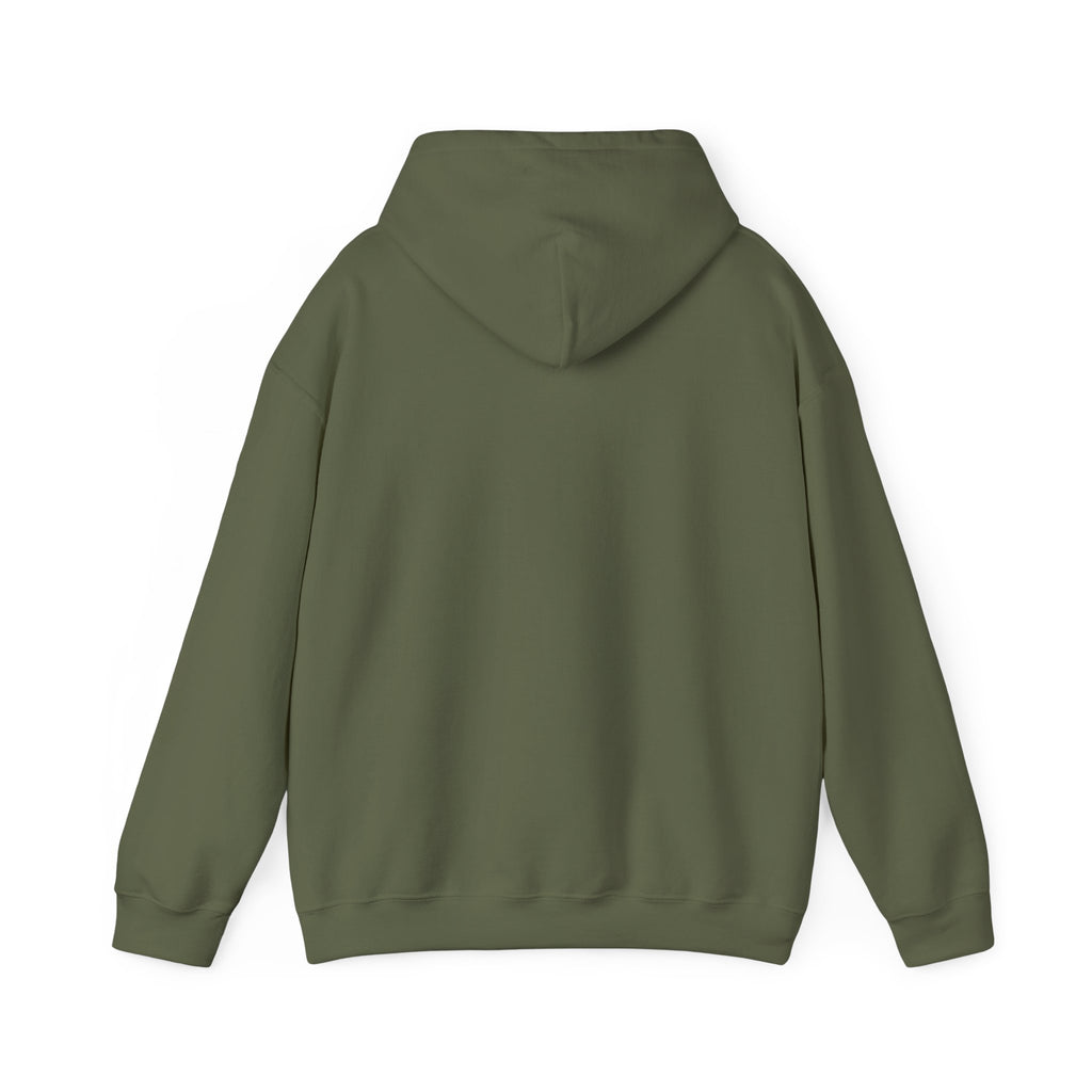 We Don't Know Them All But We Owe Them All hoodie, back view with the hood up